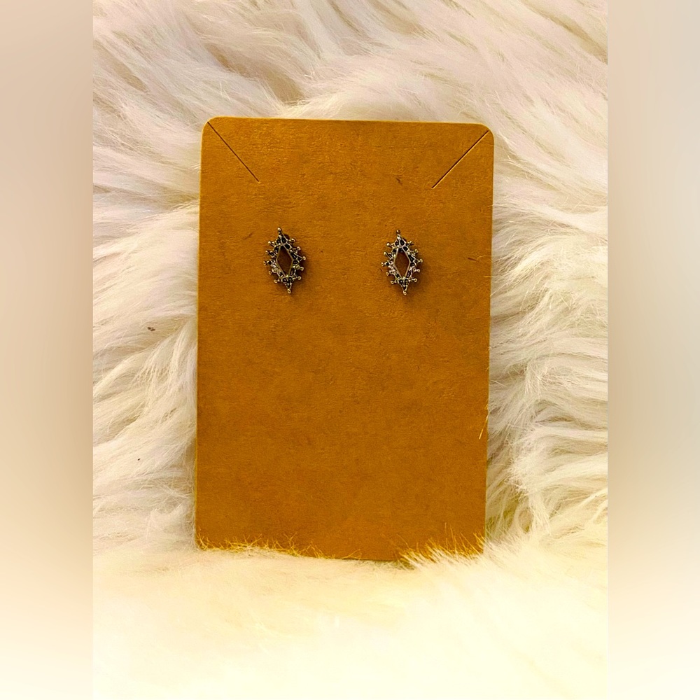 Boutique Hypoallergenic Earrings
